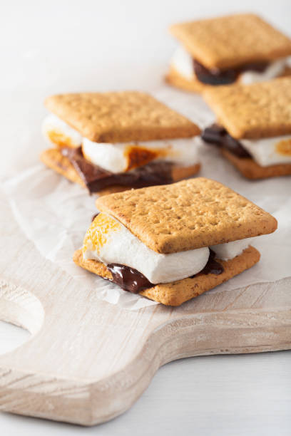 istock homemade marshmallow s'mores with chocolate on crackers 1089349194