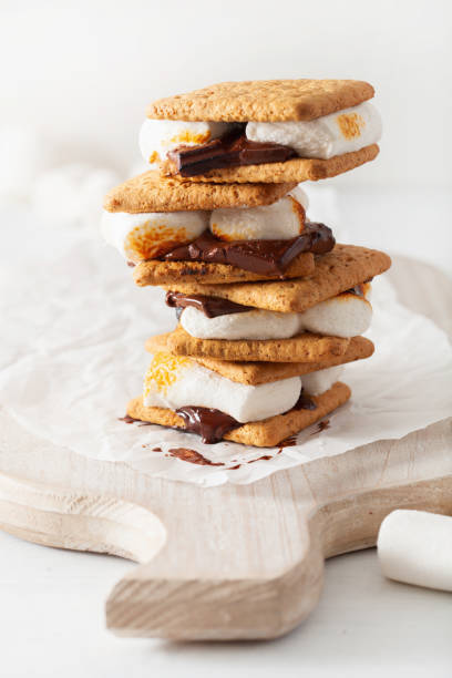 istock homemade marshmallow s'mores with chocolate on crackers 1089349492