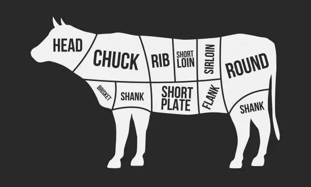 Vector illustration of Cuts of beef. Meat cuts. Cow silhouette isolated on black background. Vintage Poster for butcher shop. Retro diagram. Vector illustration