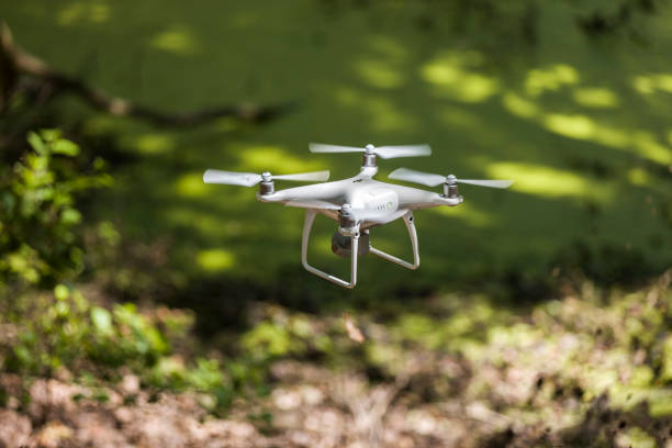 drone voando entre as árvores da floresta - drone subindo - fotografias e filmes do acervo