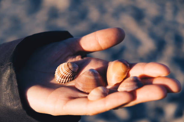 istock hand holding shell at the sunset during winter season. 1089361038