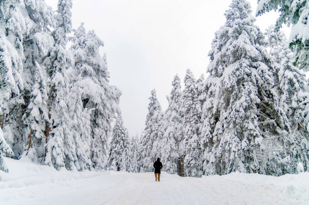 istock Man on Snowy Path on Ilgaz Mountain Ski Resort 1089362194