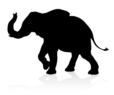 An elephant safari animal silhouette