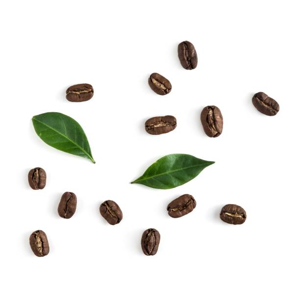 istock Top view on the coffe beans with leaves on white 1089366722