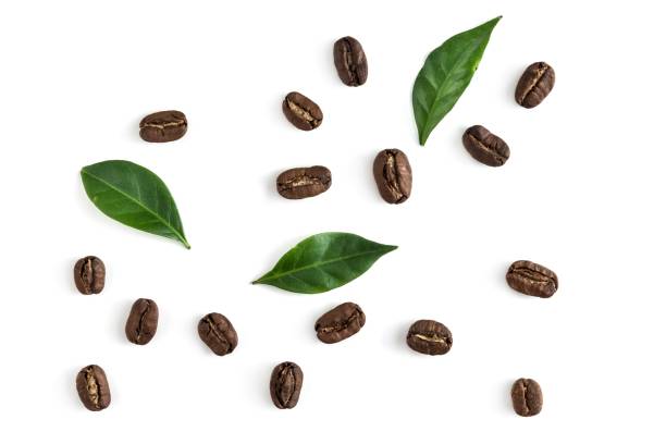istock Top view on the coffe beans with leaves on white 1089366730