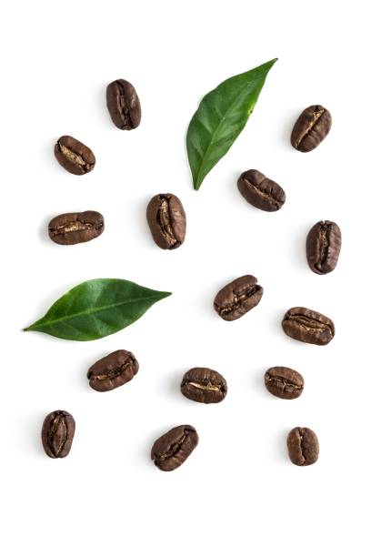 istock Top view on the coffe beans with leaves on white 1089366756
