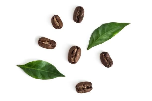 istock Top view on the coffe beans with leaves on white 1089366772
