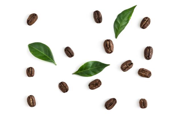 istock Top view on the coffe beans with leaves on white 1089366786