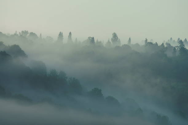 istock Misty sunrise in the Bieszczady Mountains. Poland 1089369626