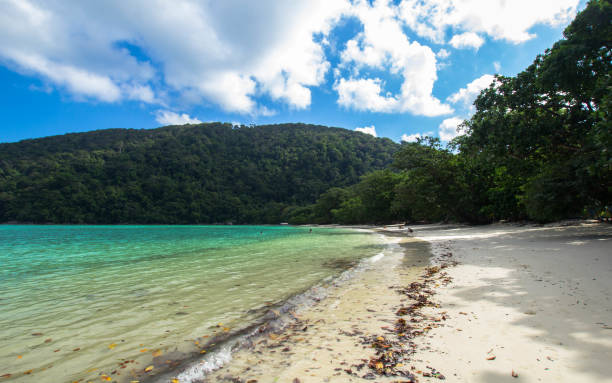 istock Beautiful tropical sea in Thailand 1089371096