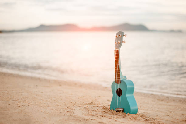 ukulele auf den schönen strand in hawaii - ukulele stock-fotos und bilder