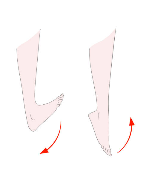 more flexion