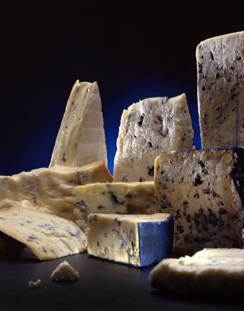 istock Cheeses selection. Various types of cheese, studio shot 1089387750