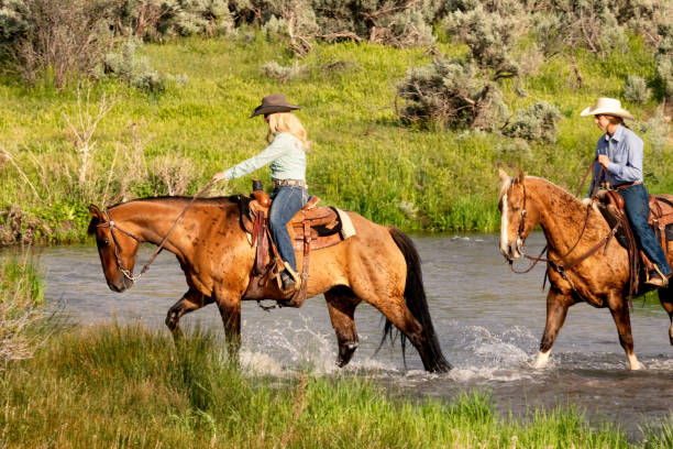 довольно молодая cowgirl броды поток на лошадях - trail ride стоковые фото и изображения