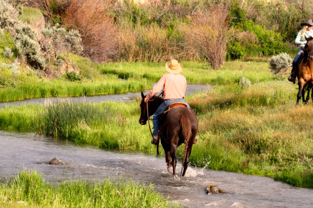 istock Cowboy fords a stream on horseback 1089387858