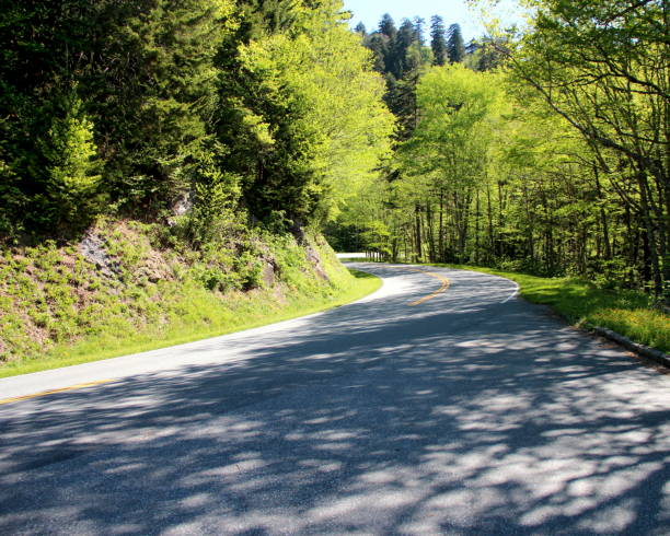 istock Great Smoky Mountains 1089388292