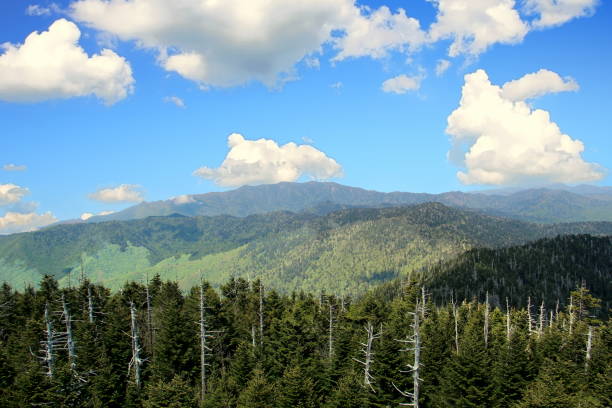 istock Great Smoky Mountains 1089388584