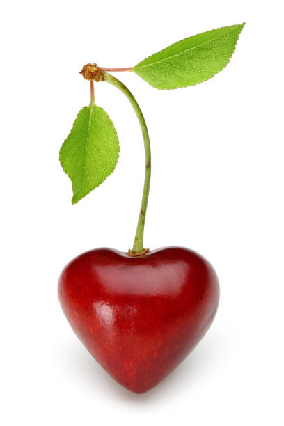 istock Heart shaped red cherry with stalk and green leaves on white background 1089389708