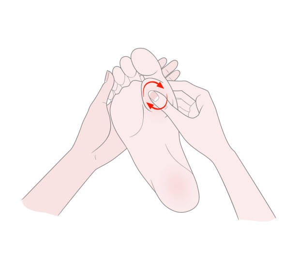 illustrations, cliparts, dessins animés et icônes de massage des pieds. oignon. formation de hallux valgus ou oignon du pied. femmes mains massage du pied. - massaging human foot reflexology foot massage