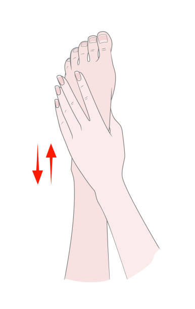 illustrations, cliparts, dessins animés et icônes de massage des pieds. oignon. formation de hallux valgus ou oignon du pied. femmes mains massage du pied. - massaging human foot reflexology foot massage