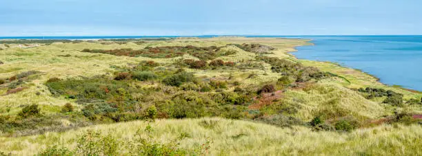 Panorama of dunes and Wadden Sea coast of nature reserve Het Oerd on West Frisian island Ameland, Friesland, Netherlands