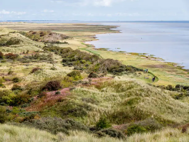 People walking along Wadden Sea coast of nature reserve Het Oerd on West Frisian island Ameland, Friesland, Netherlands