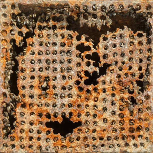 istock Broken rusty metal grid of the ballast system of a ship as a background or backdrop 1089398880