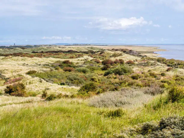 Panorama of dunes and Wadden Sea coast of nature reserve Het Oerd on West Frisian island Ameland, Friesland, Netherlands