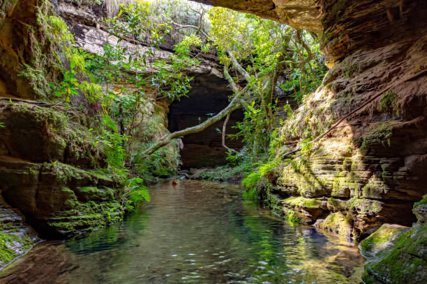 istock River among rocks, moss, cave and vegetation in the rainforest 1089403138