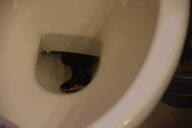 istock Sunglasses in a toilet 1089410684