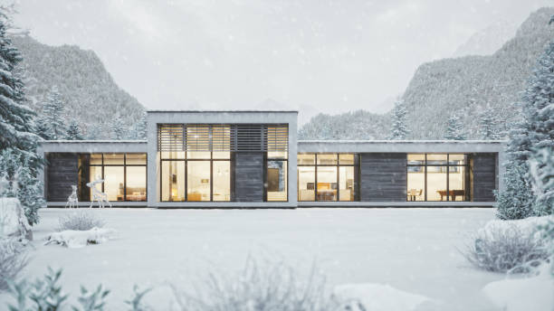 maison de montagne moderne par temps neigeux - winter palace photos et images de collection
