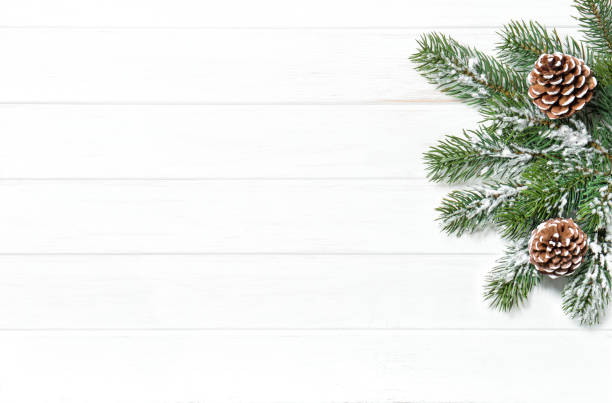 istock Christmas tree branches cones Winter holidays 1089411784