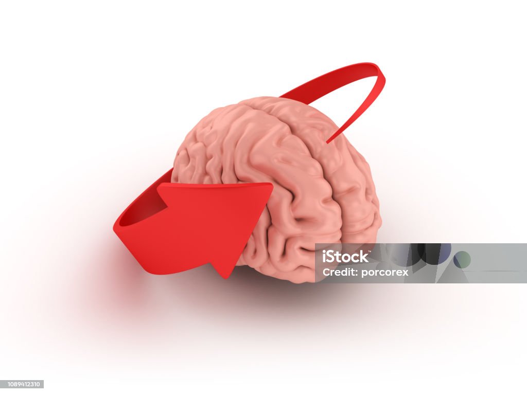 Brainroot Arrow Human Brain With Arrow 3d Rendering Stock Photo - Download Image Now ...