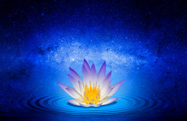 istock Lotus flower in the space 1089414932