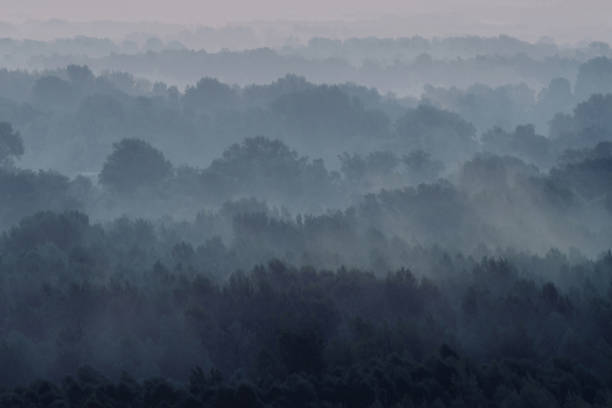 istock Mystical view on forest under haze at early morning. Eerie mist among layers from tree silhouettes in taiga under predawn sky. Atmospheric minimalistic landscape of majestic nature in faded blue tones 1089415284