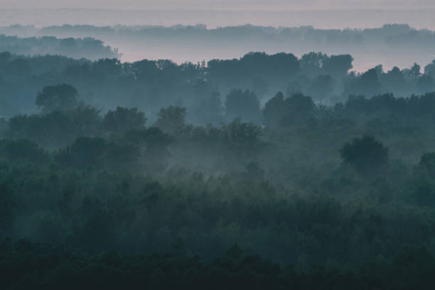 istock Mystical view from top on forest under haze at early morning. Mist among layers from tree silhouettes in taiga under warm predawn sky. Morning atmospheric minimalistic landscape of majestic nature. 1089415292