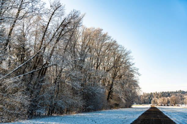 istock Sunset in a cold white winter day landscape. Road through rural area frosted fields 1089417064
