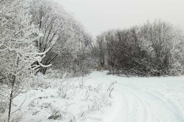 istock road en winter forest snow and frost 1089419732