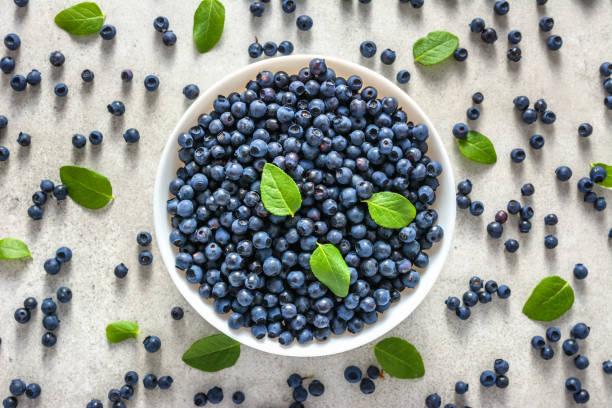 istock Fresh blueberries on plate, top view on on white background. Forest berries, healthy nutrition concept. 1089420292