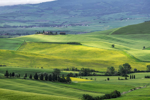 istock Sunny landscape from Val d'Orcia, Tuscany, Italy 1089423656