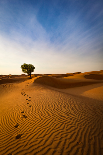 footprints out of the rippled sand dunes of the sultanate of oman.