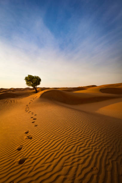 the way out of the desert, sultanate of oman footprints out of the rippled sand dunes of the sultanate of oman. oasis sand sand dune desert stock pictures, royalty-free photos & images