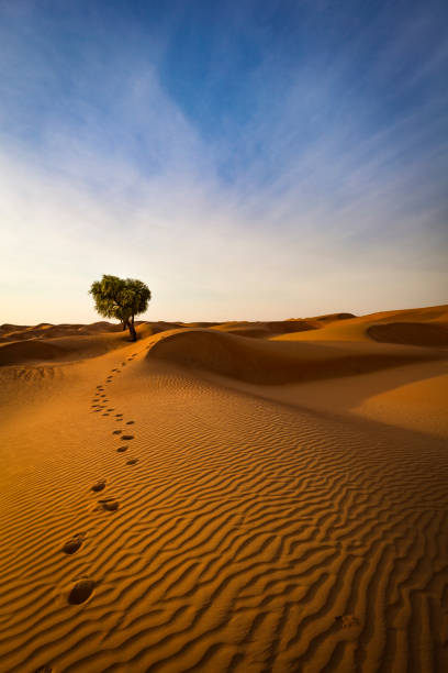 o caminho para sair do deserto, o sultanato de omã - travel adventure water oman - fotografias e filmes do acervo