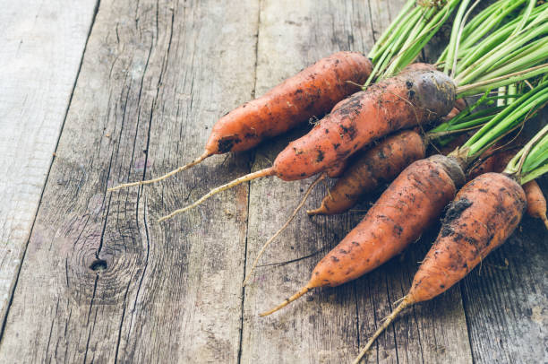 istock Fresh dirty carrots are lying on an old wooden table. 1089427442