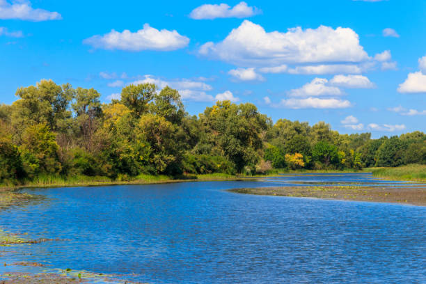 istock Summer landscape with beautiful river, green trees and blue sky 1089431876