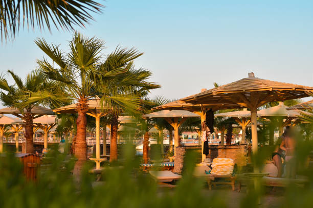 istock Sea beach in the evening with sunbeds, deck chairs and palm trees 1089444864