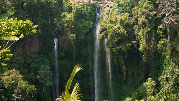 istock Beautiful tropical waterfall Bali,Indonesia 1089445332