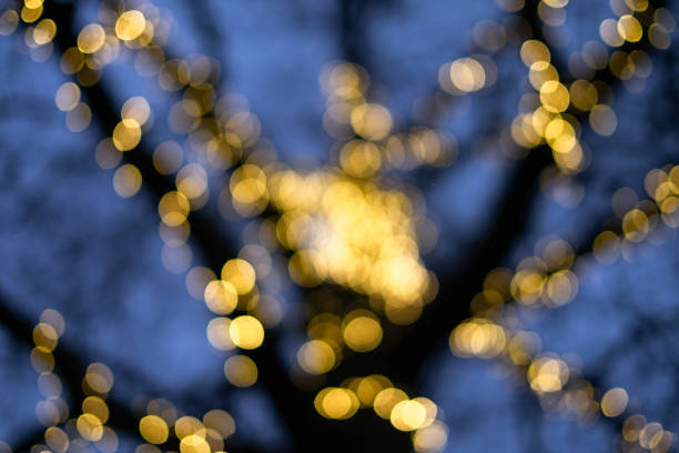 Blurred tree with lights stock photo