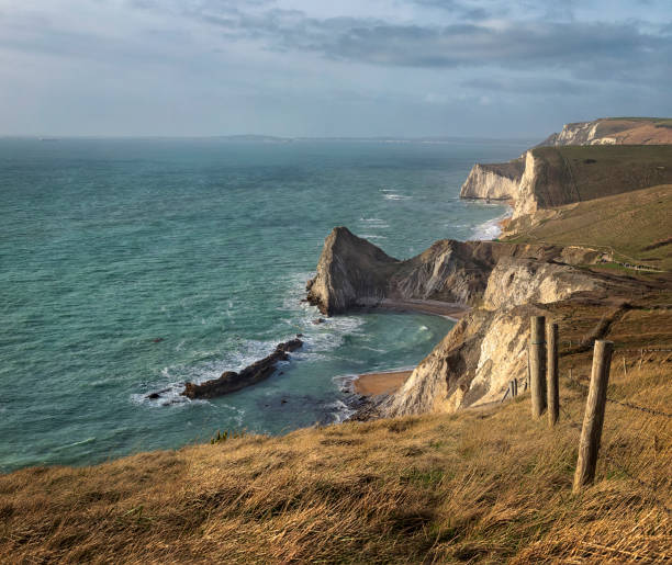 Blooming flowers overlooking the beautiful durdle door arch and man o'war beach on a sunny summer day