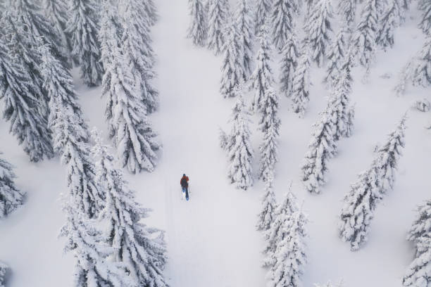 istock Snowshoes walker in snowy spruce forest 1089463768
